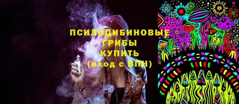 Галлюциногенные грибы Psilocybine cubensis  Петушки 